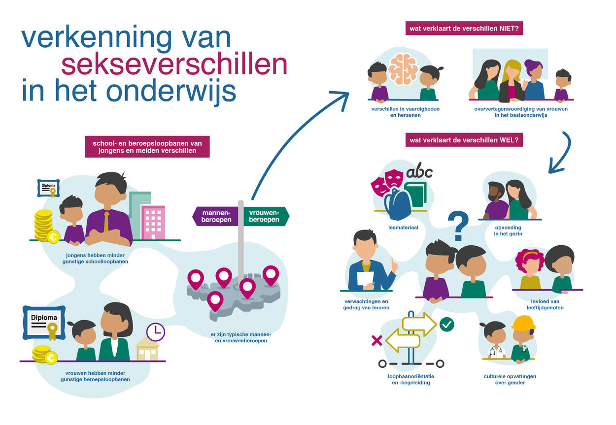 Schematische weergave van de verkenning van sekseverschillen in het onderwijs